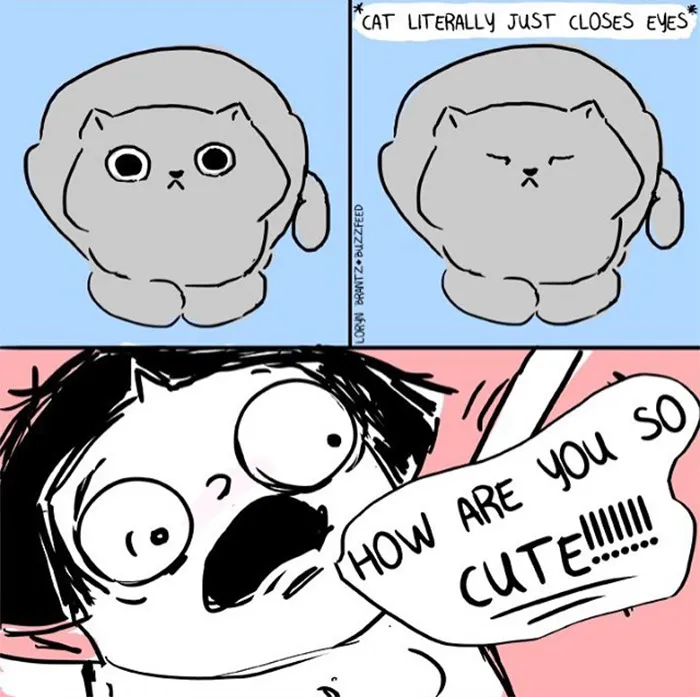 This Artist Creates Humorous Comics About Her Life (30 Pics)