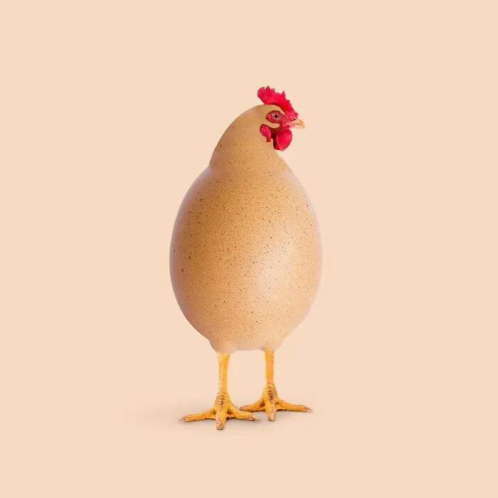 100 Photo Manipulations Of Animals Photoshopped Into The Most Random Things By Les Creatonautes 