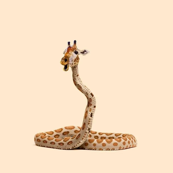 100 Photo Manipulations Of Animals Photoshopped Into The Most Random Things By Les Creatonautes 