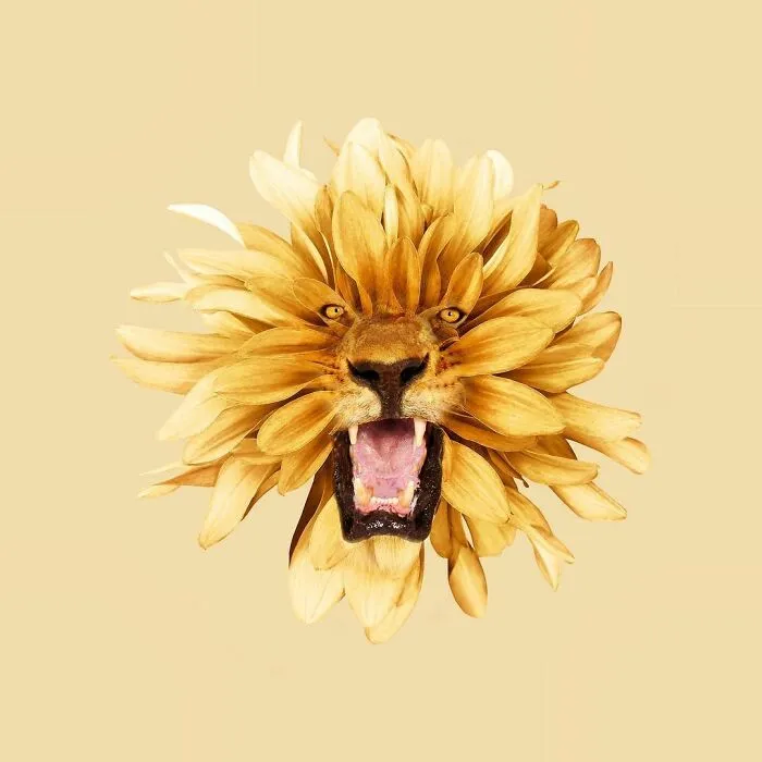 100 Photo Manipulations Of Animals Photoshopped Into The Most Random Things By Les Creatonautes 