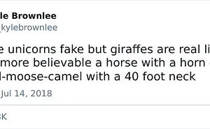 50 Posts From Twitter "Comedians" That Were So Funny, People Had To Share Them With Others