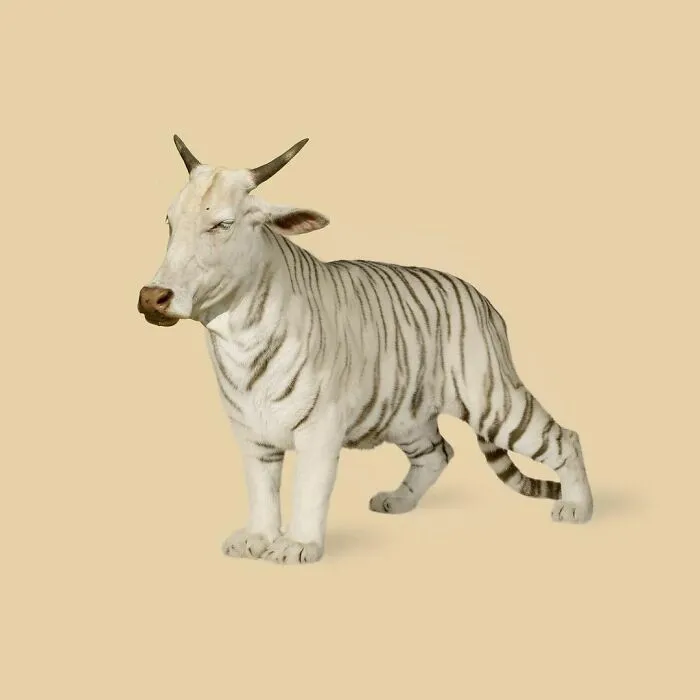 100 Photo Manipulations Of Animals Photoshopped Into The Most Random Things By Les Creatonautes 