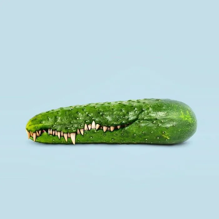 100 Photo Manipulations Of Animals Photoshopped Into The Most Random Things By Les Creatonautes 
