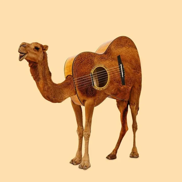 100 Photo Manipulations Of Animals Photoshopped Into The Most Random Things By Les Creatonautes 