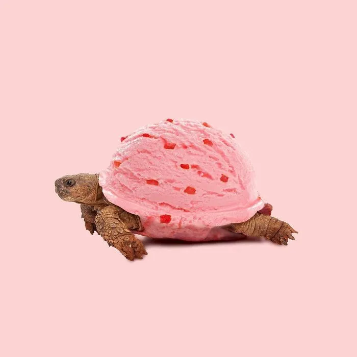 100 Photo Manipulations Of Animals Photoshopped Into The Most Random Things By Les Creatonautes 