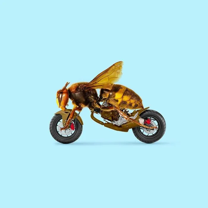 100 Photo Manipulations Of Animals Photoshopped Into The Most Random Things By Les Creatonautes 