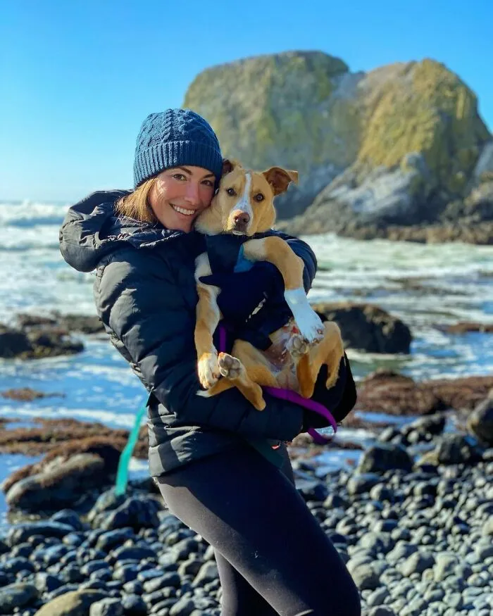 Este perro callejero siguió a esta chica mientras estaba de excursión, y al final lo adoptó (21 fotos)