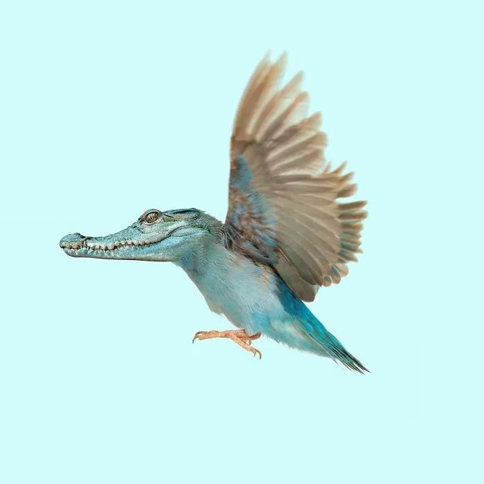100 Photo Manipulations Of Animals Photoshopped Into The Most Random Things By Les Creatonautes 