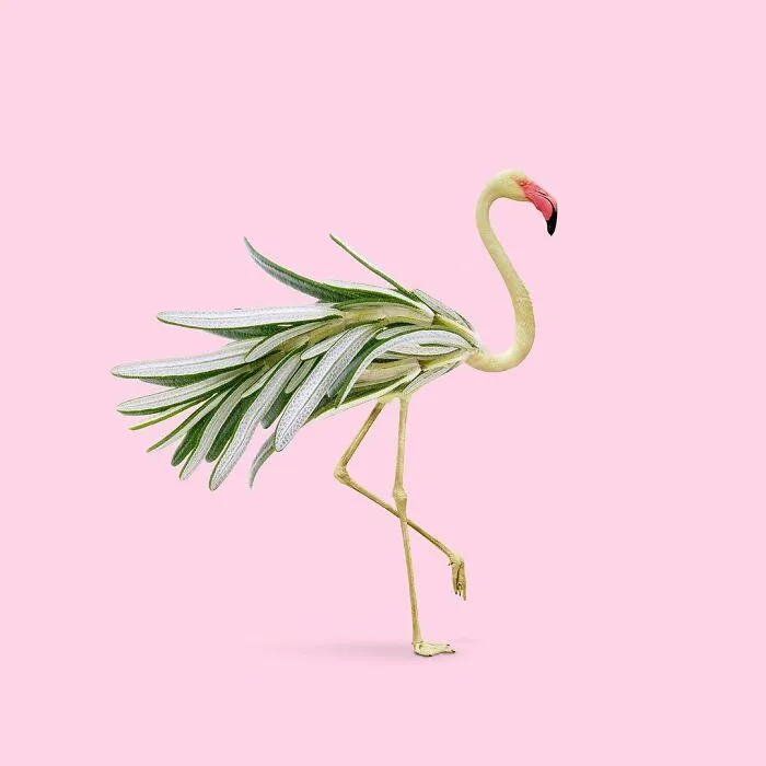 100 Photo Manipulations Of Animals Photoshopped Into The Most Random Things By Les Creatonautes 