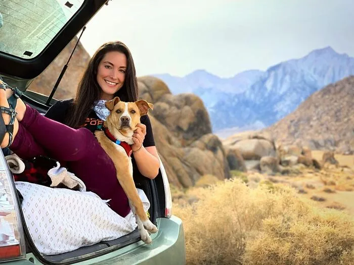 Este perro callejero siguió a esta chica mientras estaba de excursión, y al final lo adoptó (21 fotos)