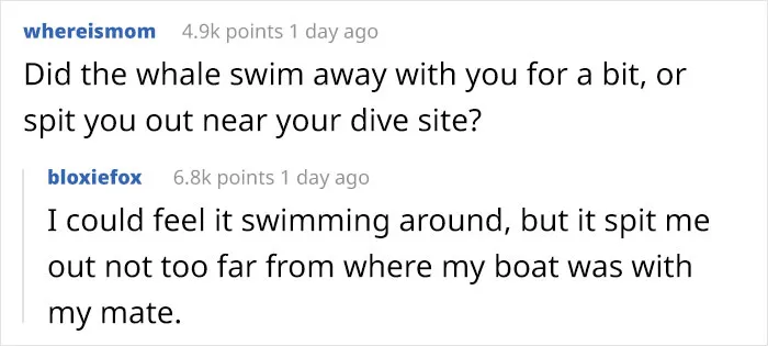 Here Are The 30 Best Answers To Questions That People Asked A Man Who Survived Being Trapped In A Humpback Whale’s Mouth