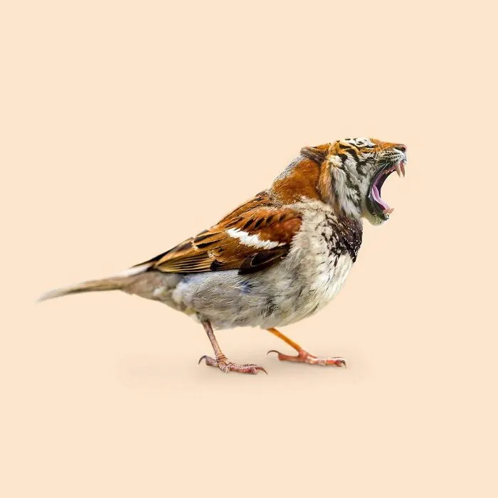 100 Photo Manipulations Of Animals Photoshopped Into The Most Random Things By Les Creatonautes 