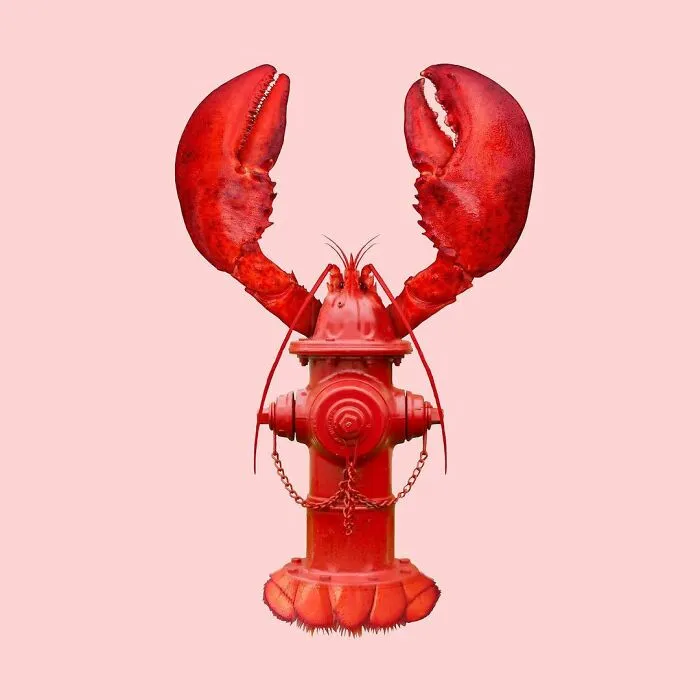 100 Photo Manipulations Of Animals Photoshopped Into The Most Random Things By Les Creatonautes 
