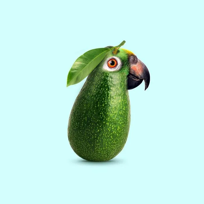 100 Photo Manipulations Of Animals Photoshopped Into The Most Random Things By Les Creatonautes 