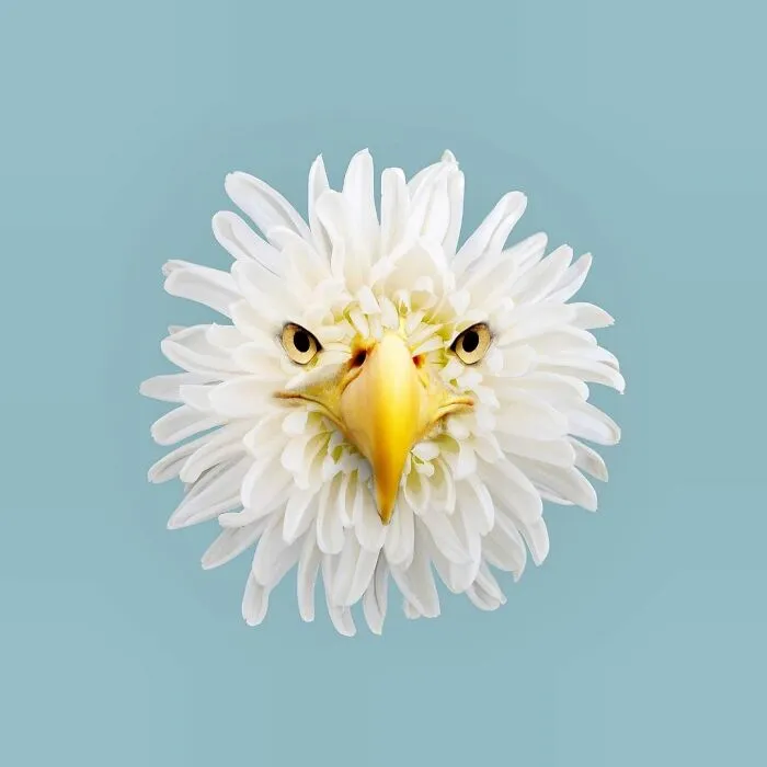 100 Photo Manipulations Of Animals Photoshopped Into The Most Random Things By Les Creatonautes 