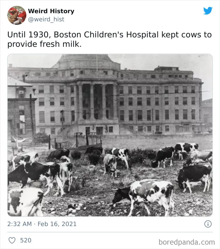 50 Odd And Interesting ‘Weird History’ Posts From This Account That Makes Learning Fun No Matter How Old You Are (New Pics)