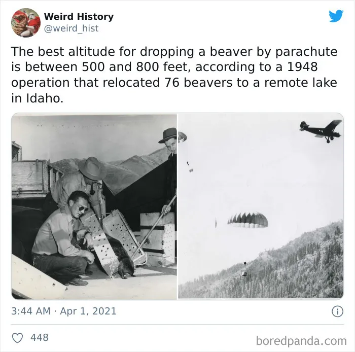 50 Odd And Interesting ‘Weird History’ Posts From This Account That Makes Learning Fun No Matter How Old You Are (New Pics)