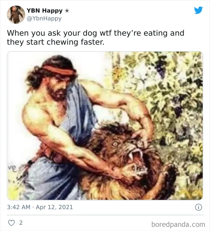 40 Truthful Memes About What It's Like To Have A Dog