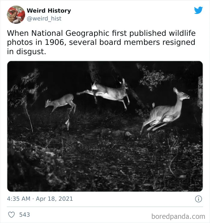 50 Odd And Interesting ‘Weird History’ Posts From This Account That Makes Learning Fun No Matter How Old You Are (New Pics)
