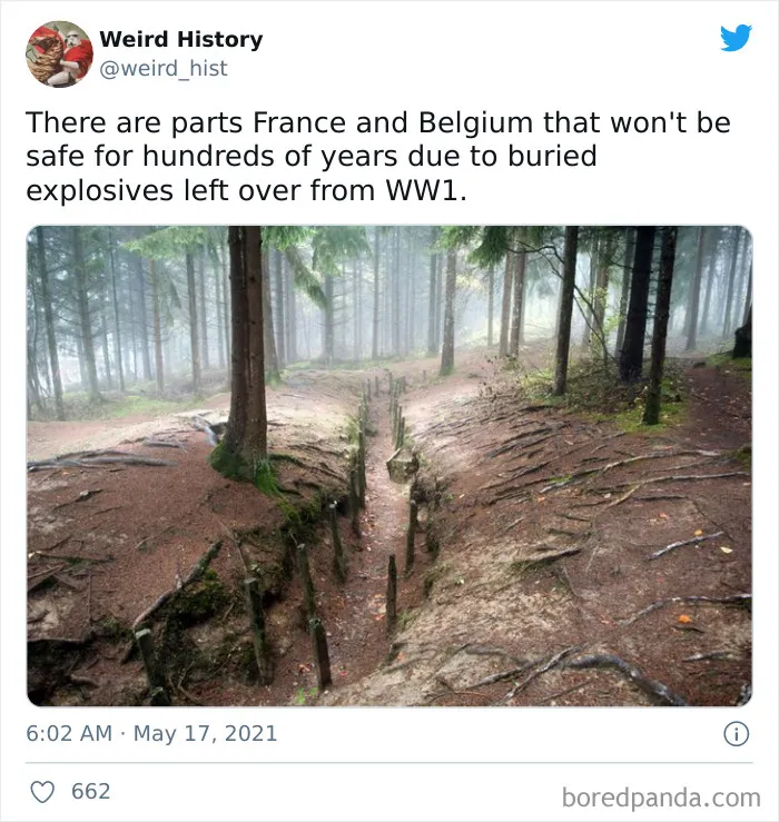 Interesting-Weird-History
