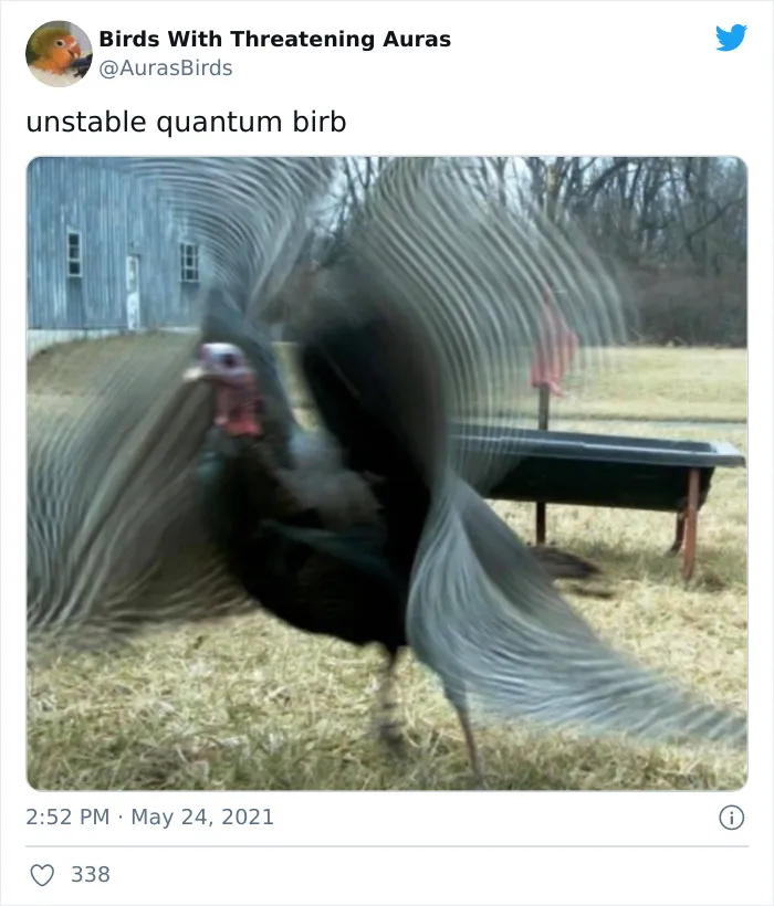 Birds-With-Threatening-Auras