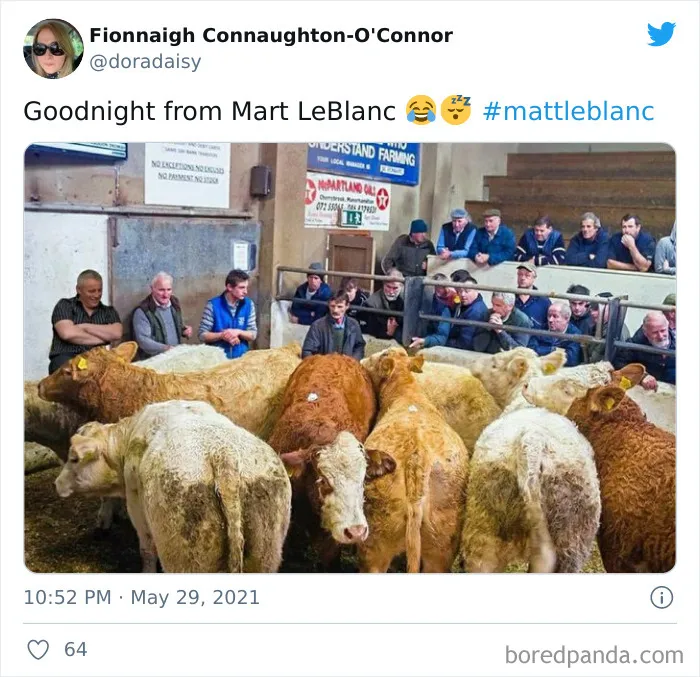 Matt LeBlanc Becomes A Meme After His Photo From The Friends Reunion Goes Viral (30 Pics)