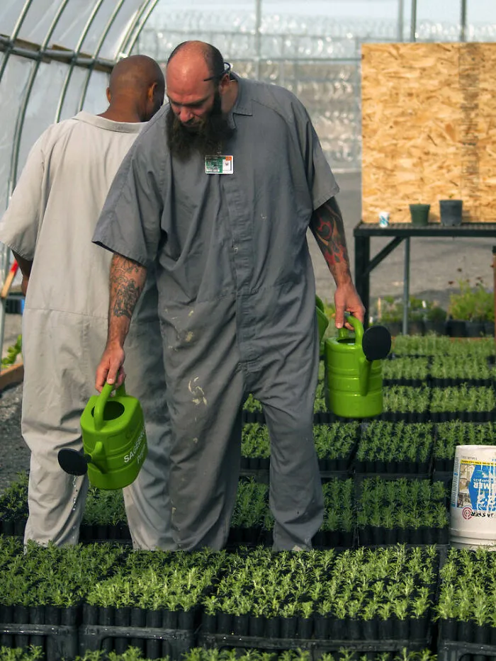 Ex-Prisoners Are Listing All The Things Hollywood Gets Wrong About Prison, And Their Thread Is Revealing