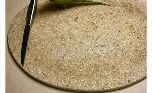 35 'Cursed' Pictures Of Birds Shared By "Birds With Threatening Auras"