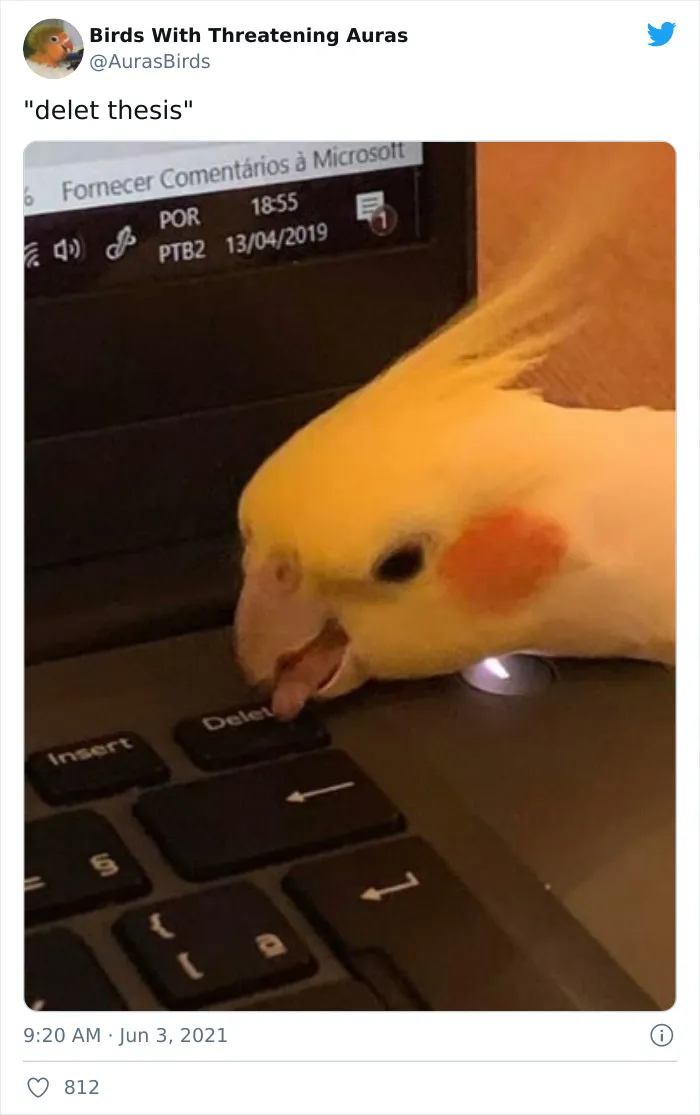 35 'Cursed' Pictures Of Birds Shared By "Birds With Threatening Auras"
