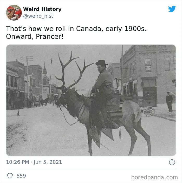 50 Odd And Interesting ‘Weird History’ Posts From This Account That Makes Learning Fun No Matter How Old You Are (New Pics)