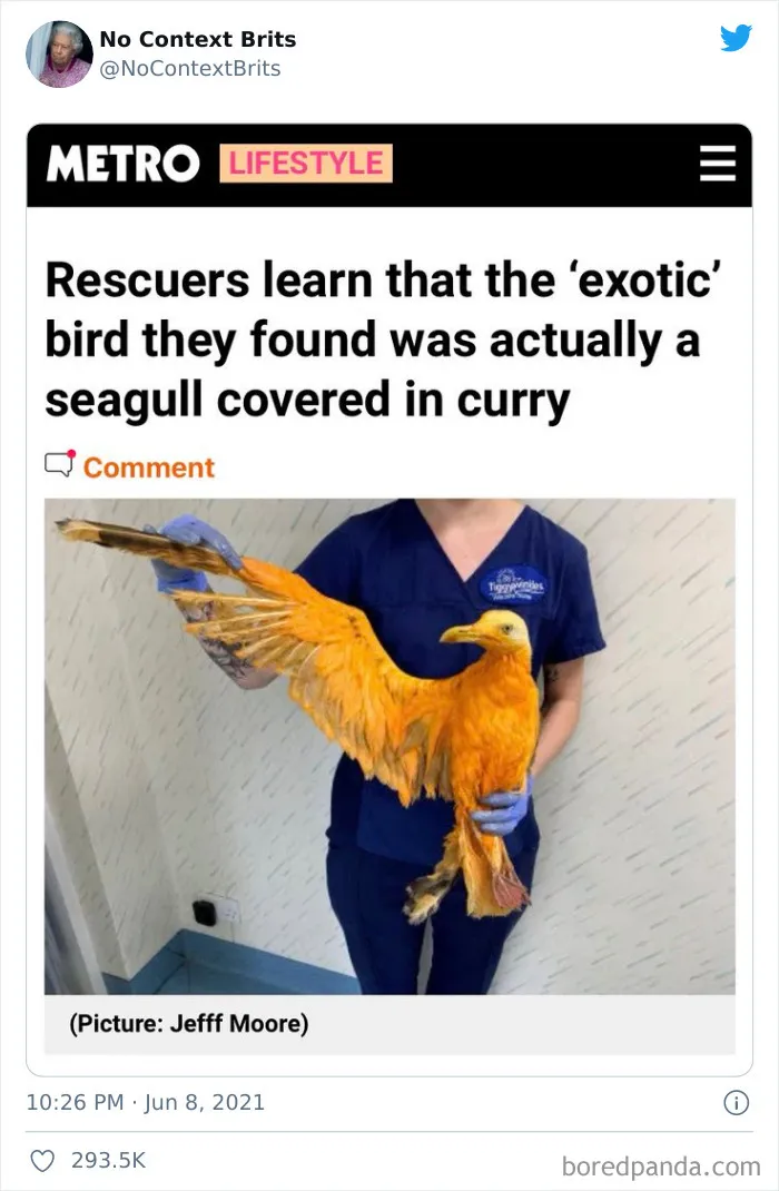 This Account Collects And Shares British Pictures Without Any Context (50 Pics)