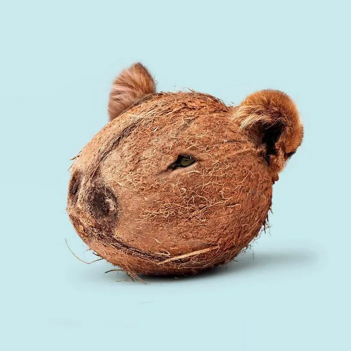 100 Photo Manipulations Of Animals Photoshopped Into The Most Random Things By Les Creatonautes 