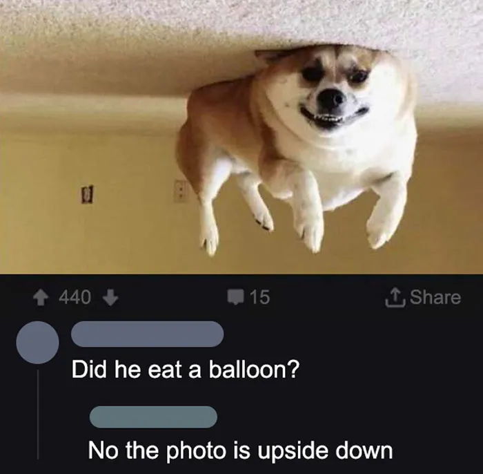 Gravity. It Works In Amazing Way- Oh