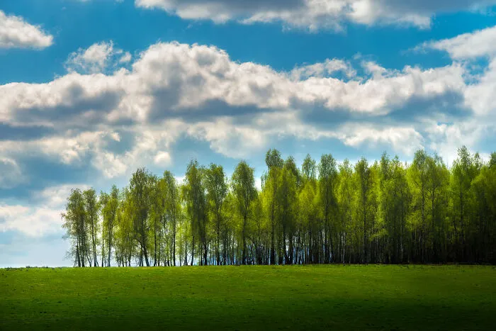 This Is How Spring Looks Like In Romania In My 21 Photos