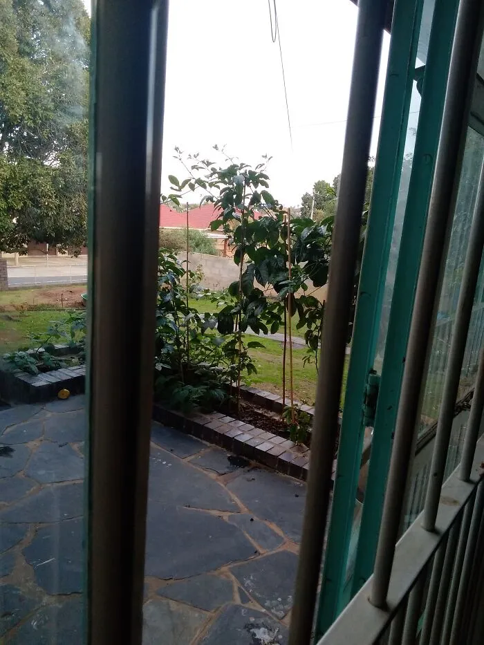 Living Room View