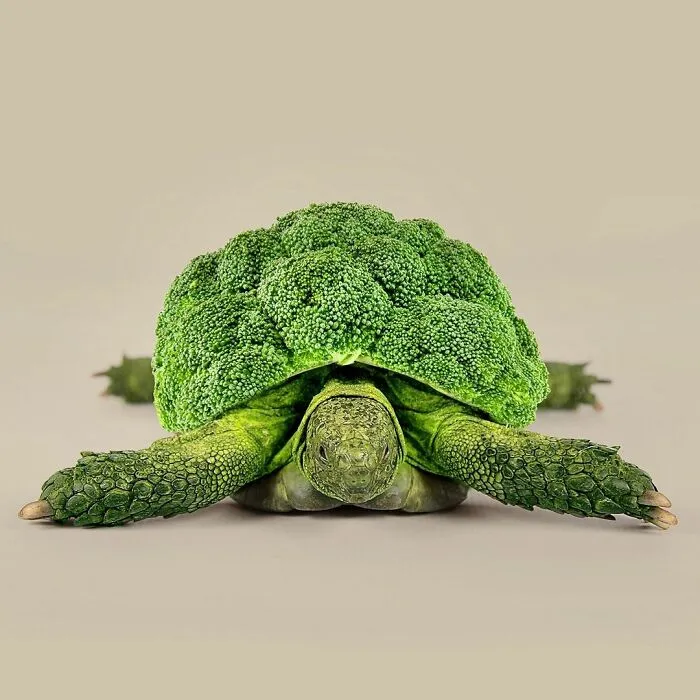 100 Photo Manipulations Of Animals Photoshopped Into The Most Random Things By Les Creatonautes 