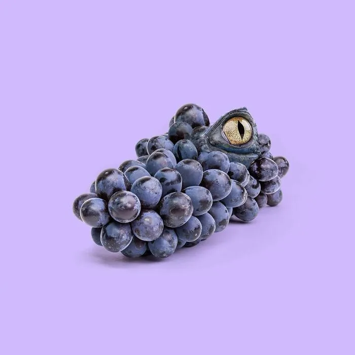 100 Photo Manipulations Of Animals Photoshopped Into The Most Random Things By Les Creatonautes 