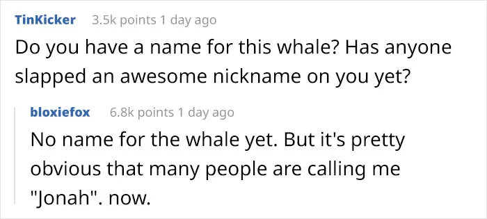 Here Are The 30 Best Answers To Questions That People Asked A Man Who Survived Being Trapped In A Humpback Whale’s Mouth