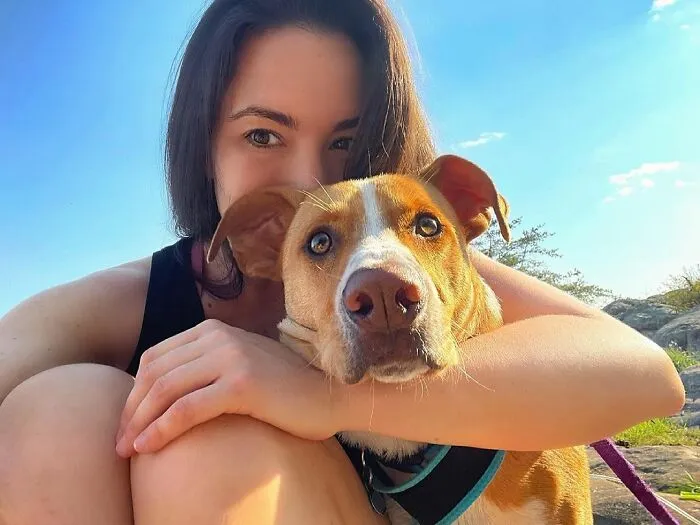 Este perro callejero siguió a esta chica mientras estaba de excursión, y al final lo adoptó (21 fotos)