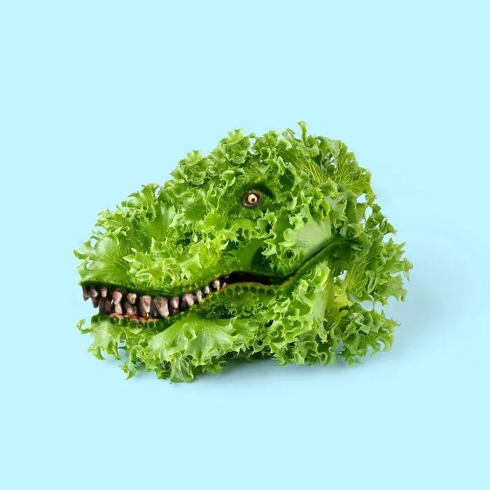 100 Photo Manipulations Of Animals Photoshopped Into The Most Random Things By Les Creatonautes 