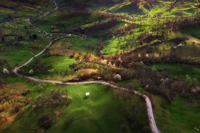 This Is How Spring Looks Like In Romania In My 21 Photos