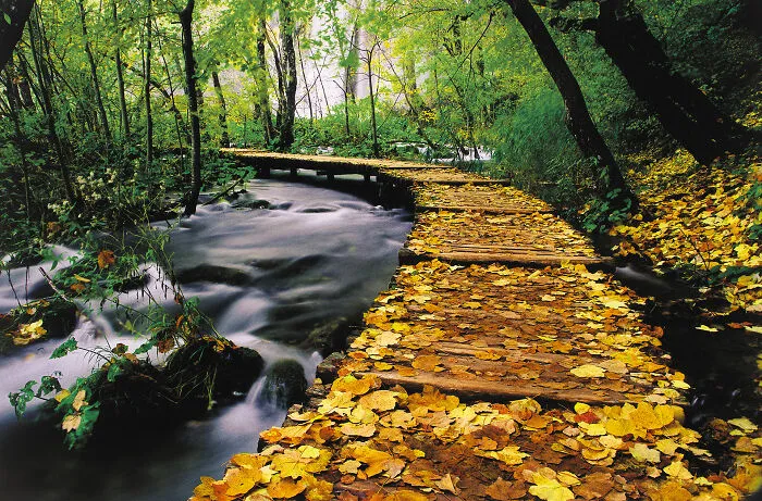 I Photographed The Magnificent Plitvice Lakes In Croatia, Here Are My Best 19 Pics