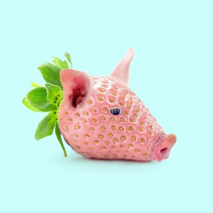 100 Photo Manipulations Of Animals Photoshopped Into The Most Random Things By Les Creatonautes 