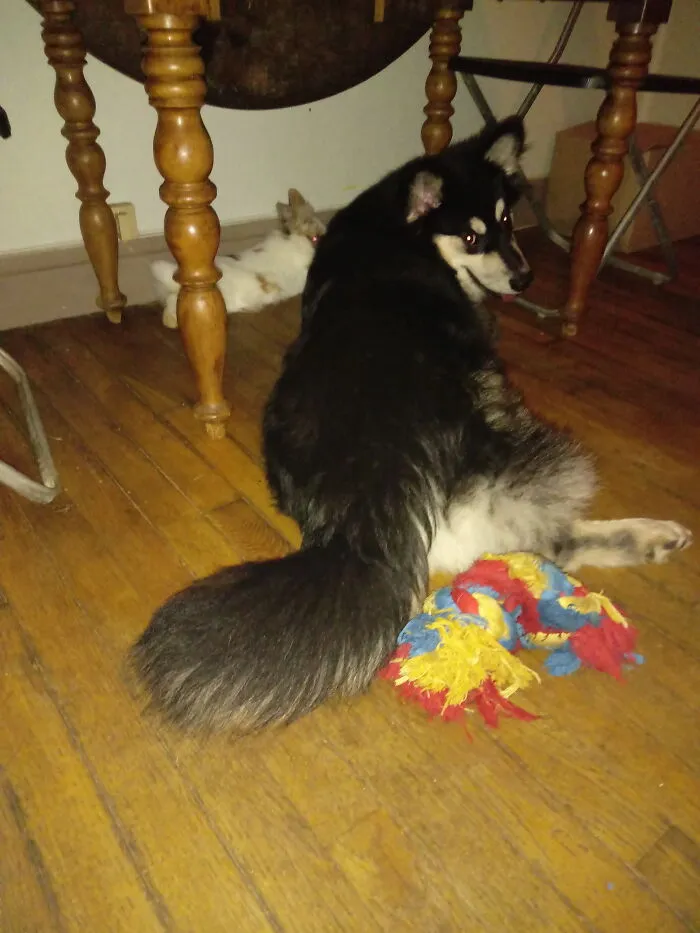 My 2 Demons Caught In The Act, Making A Conspiracy To Kill Me, Then One Of Them Put On His Most Innocent Face. "No We Were Not Talking About You Cesar"