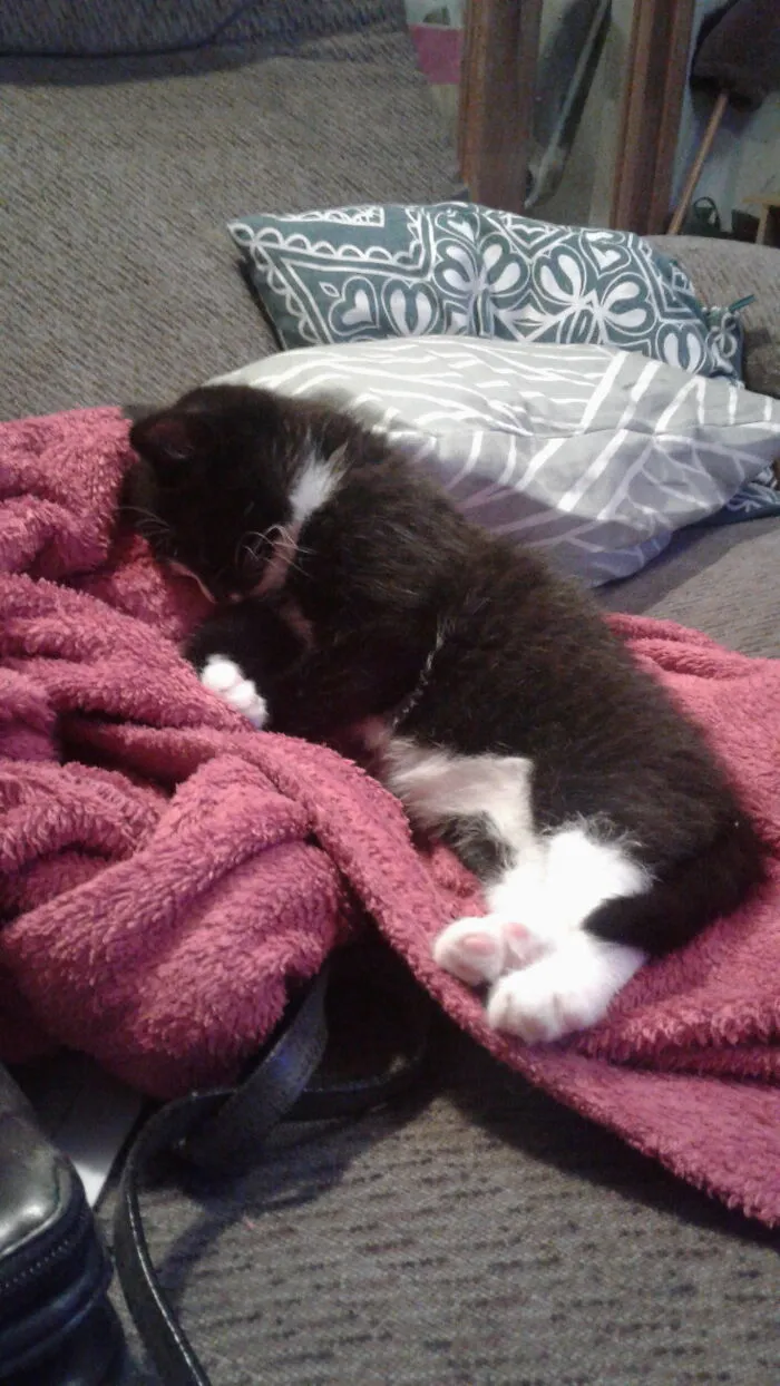 Johnny (Rip Buddy)