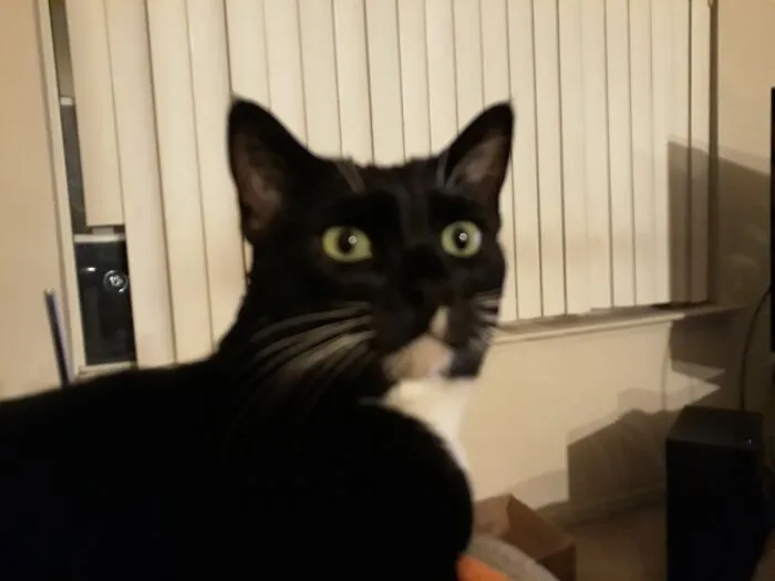 Koothranardowitz... Iykyk