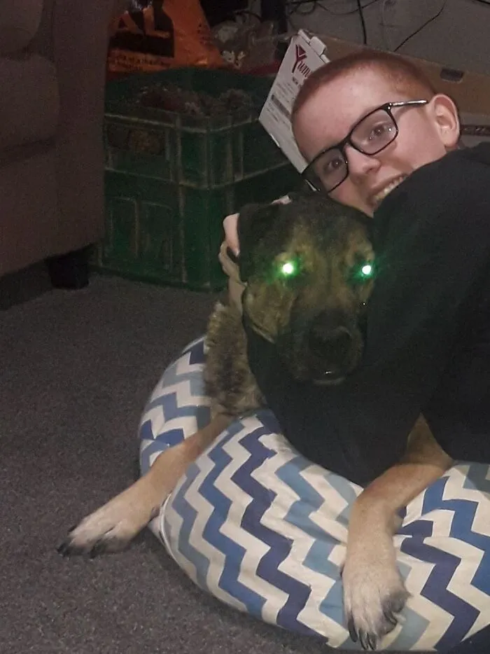 This Is Murphy He Needed To Be Put Down In The Middle Of 2020 Because His Back Legs Were Cuasing To Much Pain And He Was Named After One Of My First School Teachers And Thats Me With Him We Got Him Because My Doctor Said That Getting A Dog Would Help With My Stress As I Have Autism And Adhd