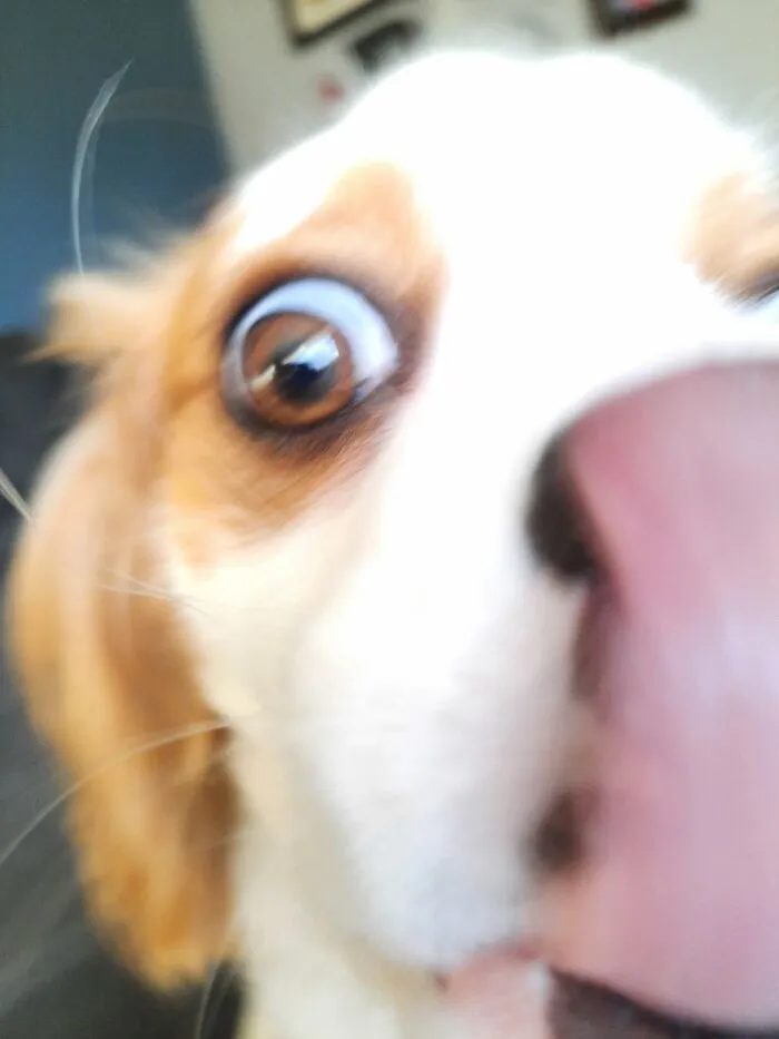 The Last Image On The Camera