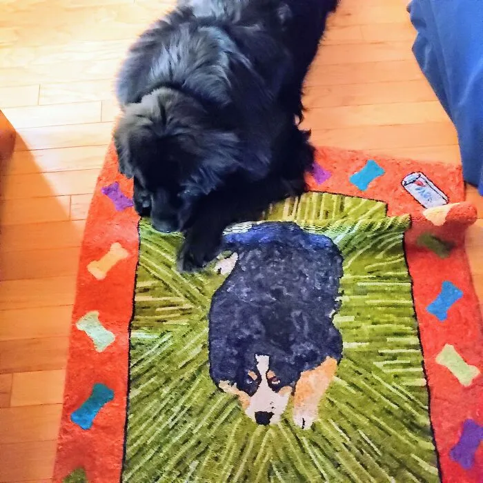 Poutine, He's A Newfoundland And Is My Comfort Dog. Poutine Is Canadian Comfort Food, So We Thought The Name Appropriate. My Poutine Came To Us After I Lost My Precious Bernese Mountain Dog. He Has Been My Comfort And Strength For The Last Three And A Half Years.