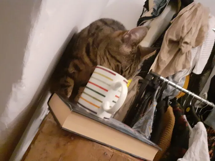 Cercie Lannister Of Catterly Rock